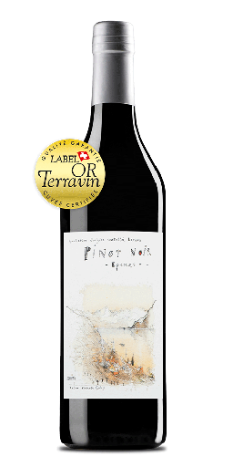 UVC - Pinot Noir Tradition
