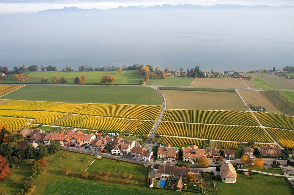 Domaine Au Grand Clos